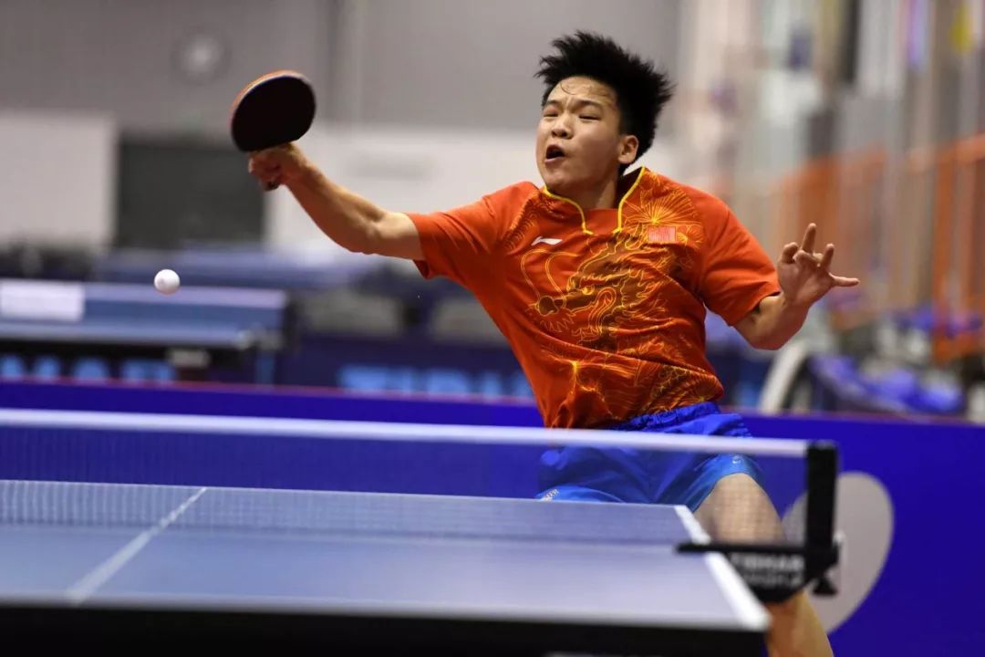 无需下载 无需下载